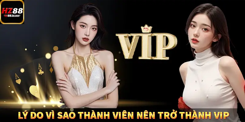 Lý do vì sao thành viên nên trở thành VIP