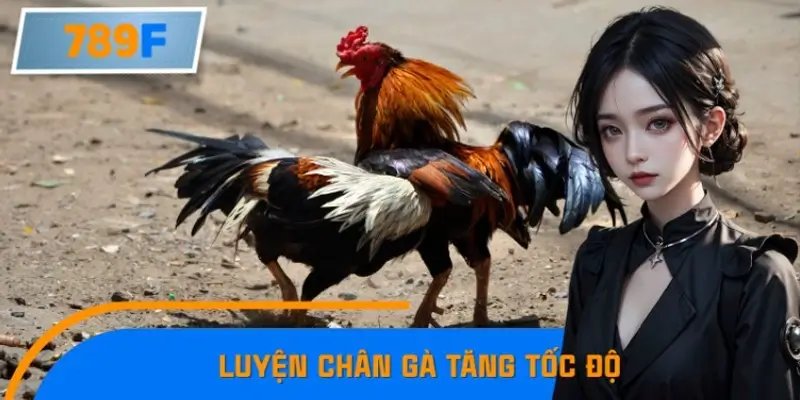 Bỏ Túi Các Thủ Thuật Luyện Chân Gà Tăng Tốc Độ Nhanh Nhất