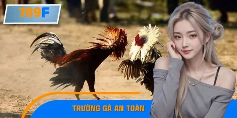 Mẹo Chọn Trường Gà An Toàn Để Đặt Cược, Không Lo Rủi Ro