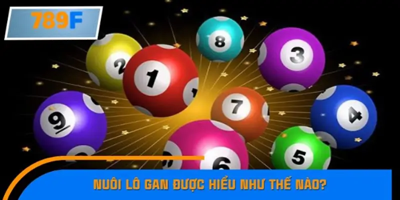 Nuôi lô gan là gì?