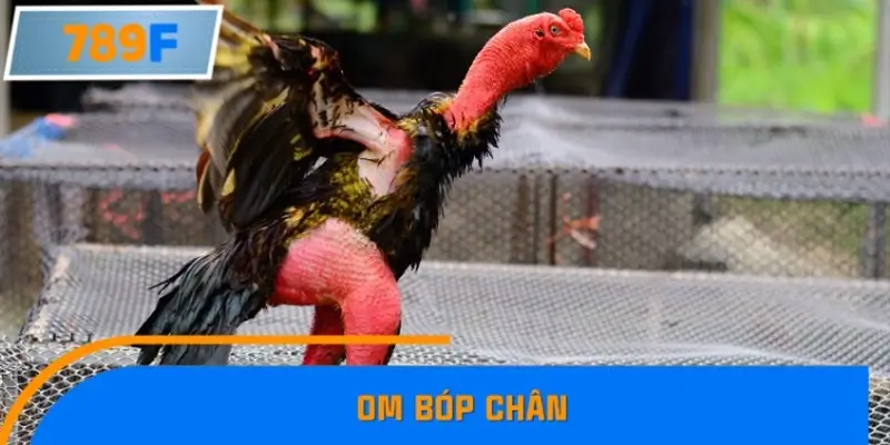 Om bóp chân